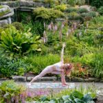 zen-bear-yoga-VFyBoo1km3A-unsplash